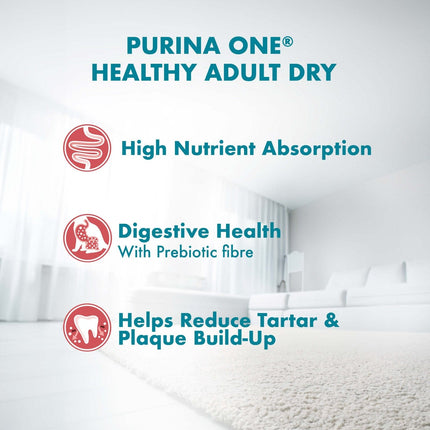 Ziggy Pupps Cat Purina ONE Dry Food for adult cat With Salmon 200 gr