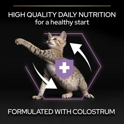 Ziggy Pupps Cat Purina Pro Plan Healthy Start Dry Food with Chicken for Kittens (Up to 1 Years) 1.5 kg