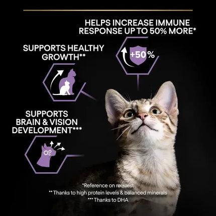 Ziggy Pupps Cat Purina Pro Plan Healthy Start Dry Food with Chicken for Kittens (Up to 1 Years) 1.5 kg