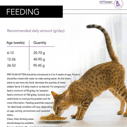 Ziggy Pupps Cat Purina Pro Plan Opti Start Original Dry Food with Chicken for Kittens 400 gr