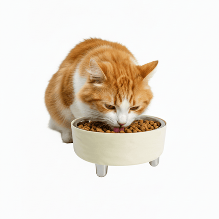 Ziggy Pupps Cat Stainless Steel Pet Bowl 12 Mm