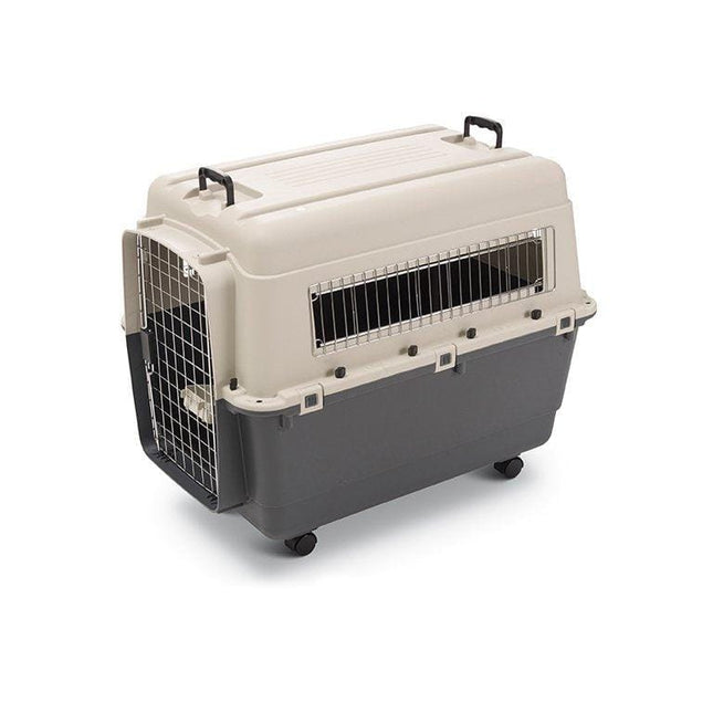 Ziggy Pupps Cat Transport Box for dogs size 7