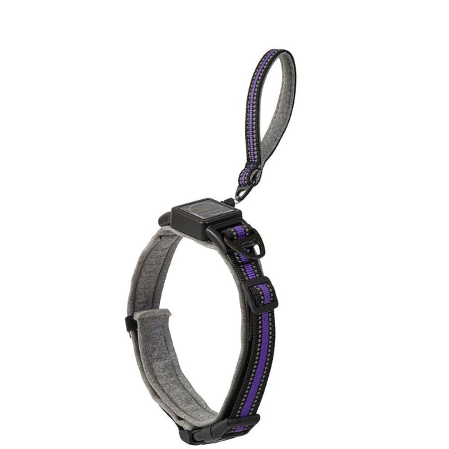 Ziggy Pupps Dog 2-in-1 Dog Collar with Built in Leash Dogs Grey/Purple Size S