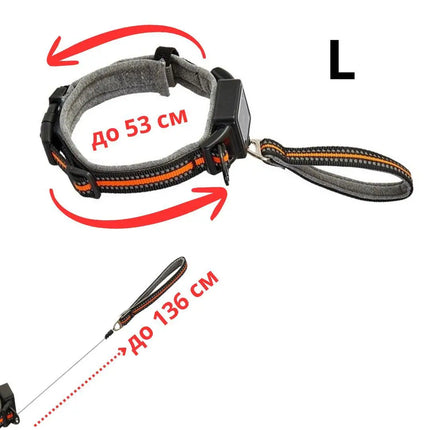 Ziggy Pupps Dog 2-in-1 Dog Collar with Built in Leash Dogs Grey Size L