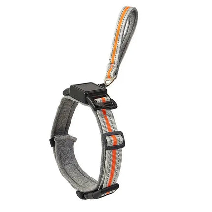 Ziggy Pupps Dog 2-in-1 Dog Collar with Built in Leash for Small and Medium Dogs Grey Size M