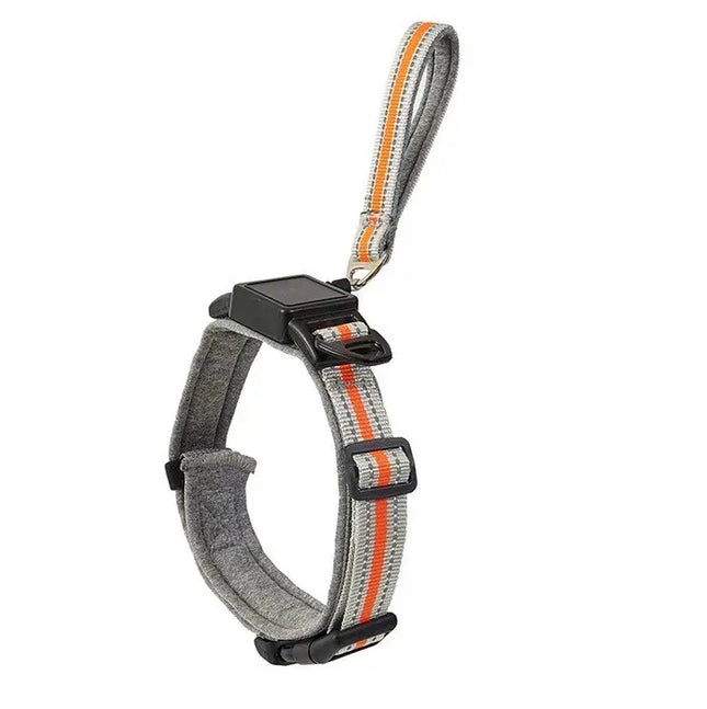Ziggy Pupps Dog 2-in-1 Dog Collar with Built in Leash for Small and Medium Dogs Grey Size M
