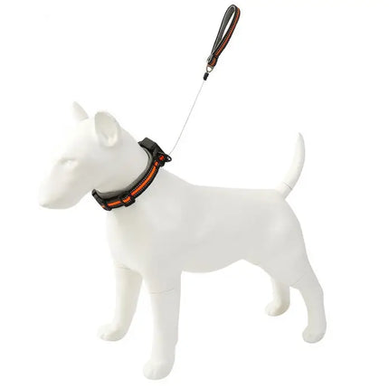 Ziggy Pupps Dog 2-in-1 Dog Collar with Built in Leash for Small and Medium Dogs Grey Size M