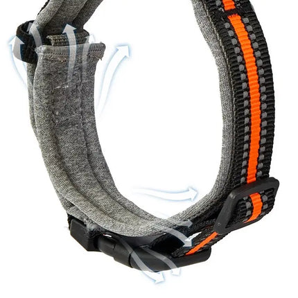 Ziggy Pupps Dog 2-in-1 Dog Collar with Built in Leash for Small and Medium Dogs Grey Size M