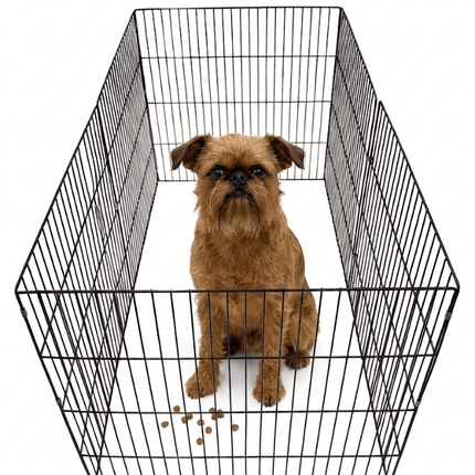 Ziggy Pupps Dog 6 Sided Dog Fence Playpen 70 cm Height 70 cm Panels Black