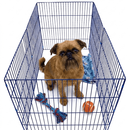 Ziggy Pupps Dog 6 Sided Dog Fence Playpen 70 cm Height 70 cm Panels Blue