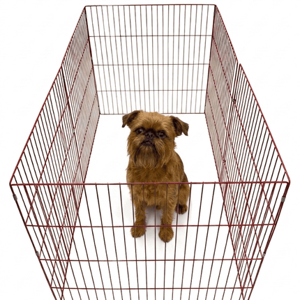 Ziggy Pupps Dog 6 Sided Dog Fence Playpen 70 cm Height 70 cm Panels red