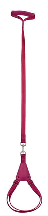 Ziggy Pupps Dog Adjustable Dog Harness with Leather Handle And Leash size S Pink