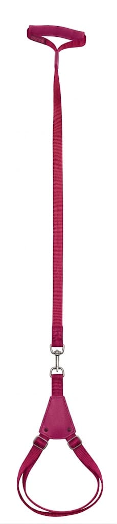 Ziggy Pupps Dog Adjustable Dog Harness with Leather Handle And Leash size S Pink
