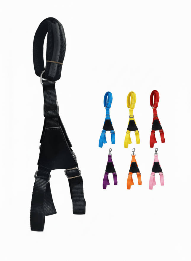 Ziggy Pupps Dog Adjustable Dog Harness with Leather Handle & Leash size L