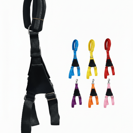 Ziggy Pupps Dog Adjustable Dog Harness with Leather Handle & Leash size S