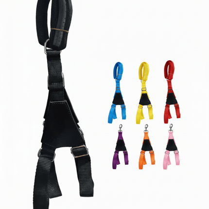 Ziggy Pupps Dog Adjustable Dog Harness with Leather Handle & Leash size XS