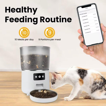 Ziggy Pupps Dog and cat Automatic Cat Feeder Wifi Pet Dog Food Dispenser Black