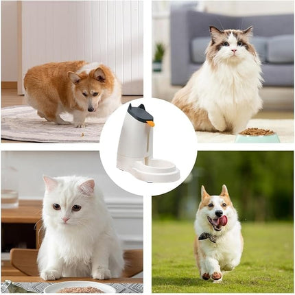 Ziggy Pupps Dog and cat Automatic Pet Food Feeder Dispenser Cute Cat Ears Design Dry Food Feeder for Cats And Small Dogs Dark grey