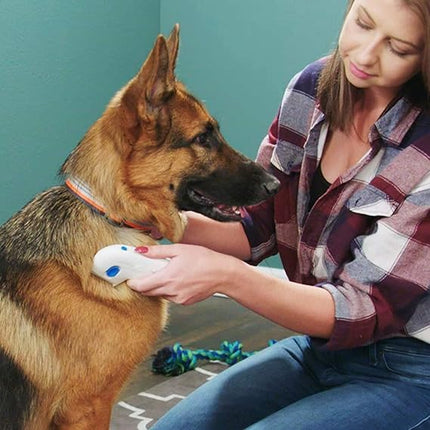 Ziggy Pupps Dog and cat Electronic Flea Killer Comb As Seen on TV Original Pesticide Free Grooming for Pets
