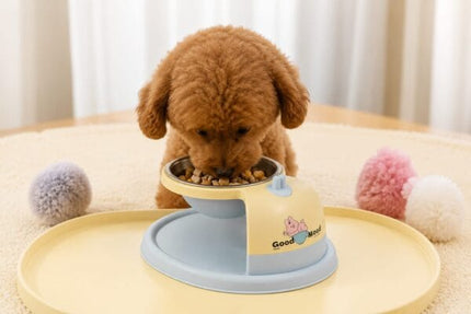 Ziggy Pupps Dog and cat Feeding Bowl for Cats and Small Dogs Pink