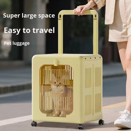 Ziggy Pupps Dog and cat Foldable Pet Trolley Case Portable Travel Carrier for Cats and Dogs Yellow