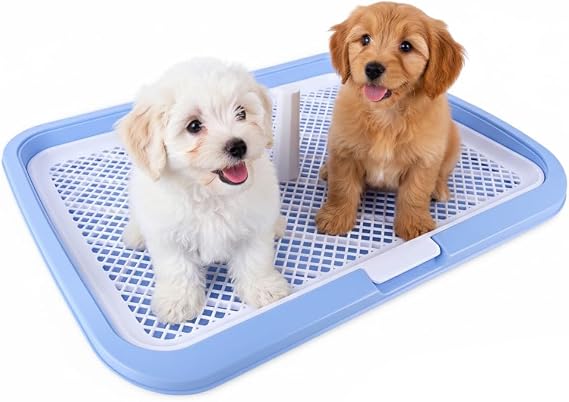 Ziggy Pupps Dog and cat Holder Mesh Pad Tray Doggie Toilet Potty Trainer Pee Pad Holder Dogs Blue Size 65 × 50 cm