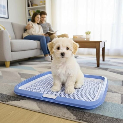 Ziggy Pupps Dog and cat Holder Mesh Pad Tray Doggie Toilet Potty Trainer Pee Pad Holder Dogs Blue Size 65 × 50 cm