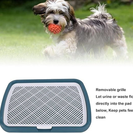 Ziggy Pupps Dog and cat Holder Mesh Pad Tray Doggie Toilet Potty Trainer Pee Pad Holder Dogs Teal Blue 66 × 50 cm