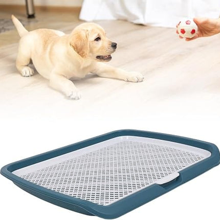 Ziggy Pupps Dog and cat Holder Mesh Pad Tray Doggie Toilet Potty Trainer Pee Pad Holder Dogs Teal Blue 66 × 50 cm