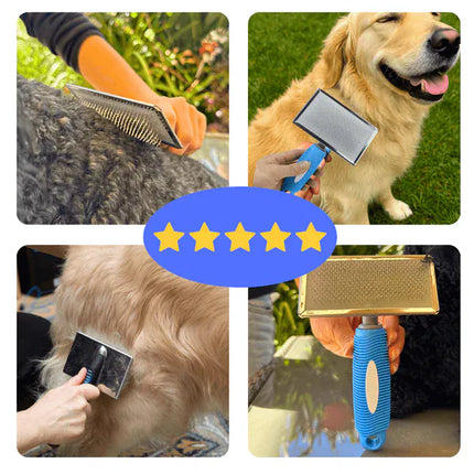Ziggy Pupps Dog and cat pet grooming Small Pet Detangling Brush for Cats And Dogs