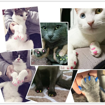 Ziggy Pupps Dog and cat Soft Cat Nail Caps Silicone Claw Covers with Adhesive Glue Size XS Weight 0.5 to 2.5 Kg