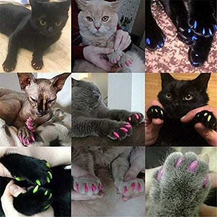 Ziggy Pupps Dog and cat Soft Cat Nail Caps Silicone Claw Covers with Adhesive Glue Size XS Weight 0.5 to 2.5 Kg