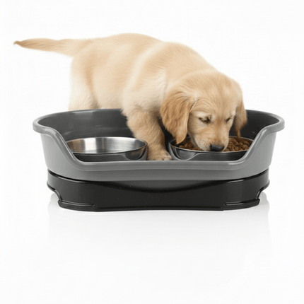 Ziggy Pupps Dog and cat Stainless Steel Bowl Ideal For Food And Water