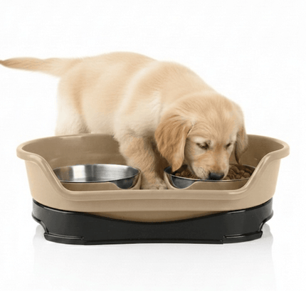 Ziggy Pupps Dog and cat Stainless Steel Bowl Ideal For Food And Water