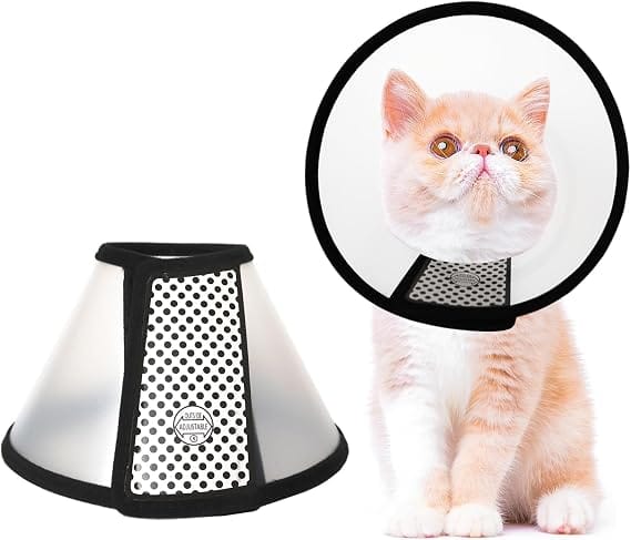 Ziggy Pupps Dog and cat Transparent Elizabethan Recovery Collar for Cats Adjustable Anti-Licking Cone Size 1 Xs