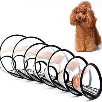 Ziggy Pupps Dog and cat Transparent Elizabethan Recovery Collar for Dogs Adjustable Anti Licking Cone Size 2