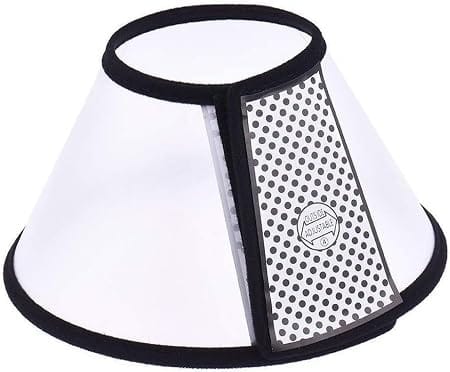 Ziggy Pupps Dog and cat Transparent Elizabethan Recovery Collar for Dogs Adjustable Anti Licking Cone Size 2