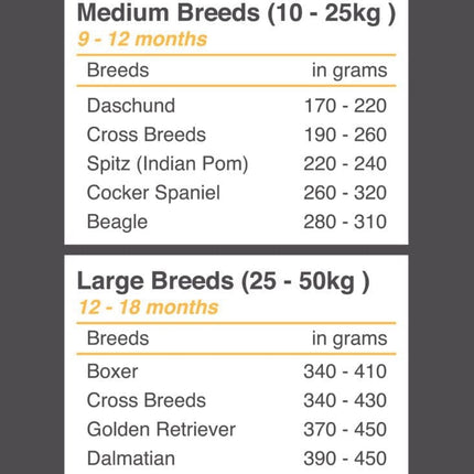 Ziggy Pupps Dog Dija Adult Dog Dry Food 20Kg