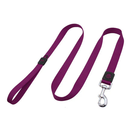 Ziggy Pupps Dog DOCO leash Medium Purple Nylon Dog Leash 180 in 2 cm