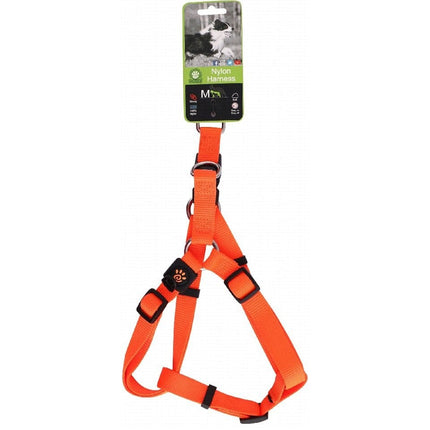 Ziggy Pupps Dog Doco Medium Orange Nylon Dog Harness 53 to 77cm in 2