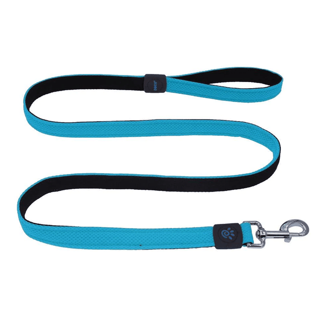 Ziggy Pupps Dog Doco Puffy Mesh Turquoise Leash For Medium To Large Dogs