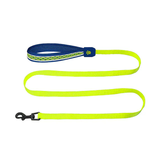Ziggy Pupps Dog DOCO Small Blue and Green Mesh Dog Leash 150 In 1.5 cm