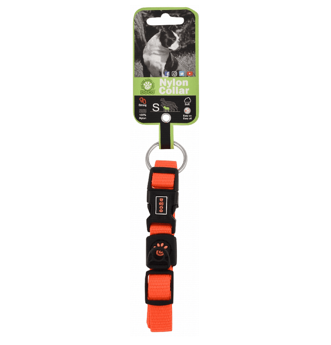 Ziggy Pupps Dog Doco Small orange Nylon Dog Collar 25 to 40 in 1.5cm