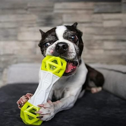 Ziggy Pupps Dog Durable Rubber Dumbbell Dog Toy Assorted Colors
