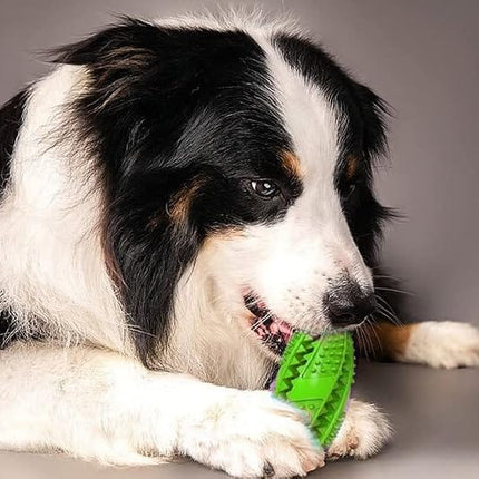 Ziggy Pupps Dog Durable Spiky Chew Toy for Dog Dental Care