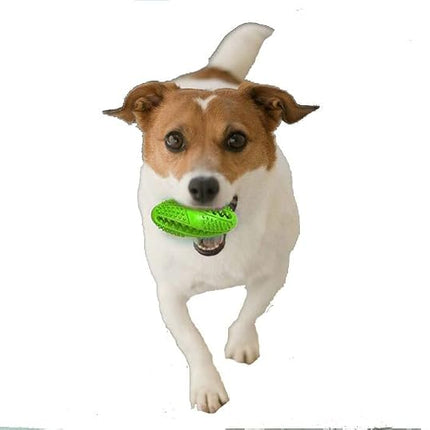 Ziggy Pupps Dog Durable Spiky Chew Toy for Dog Dental Care
