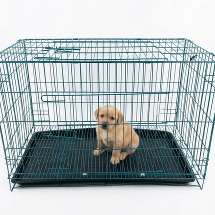 Ziggy Pupps Dog Foldable Metal Wire Dog Crate with Removable Tray 75 x 42 x 50 cm Petrol Green