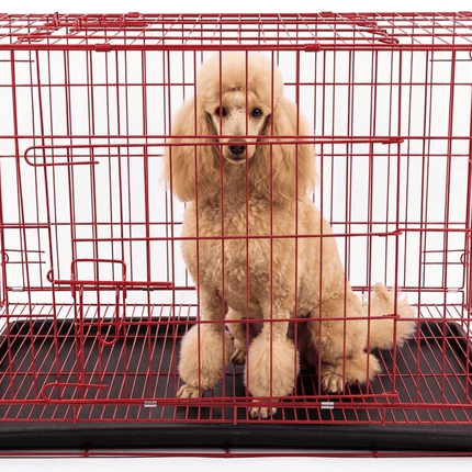 Ziggy Pupps Dog Foldable Metal Wire Dog Crate with Removable Tray 75 x 42 x 50 cm Red