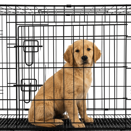 Ziggy Pupps Dog Foldable Metal Wire Dog Crate with Removable Tray 98 x 58 x 65 cm