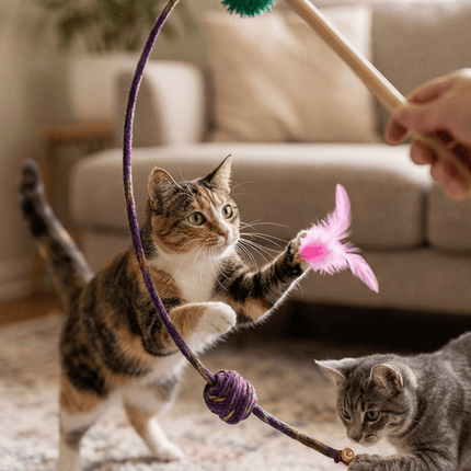 Ziggy Pupps Dog Interactive Feather and Ball Cat Wand Toy